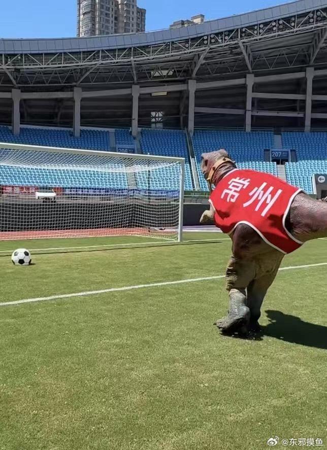 pg电子官网-中华恐龙园联动体育赛事打造文旅地标，恐龙吉祥物引爆全民参与